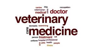School of Veterinary Medicine