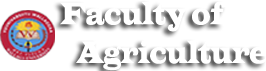 Wallaga University
